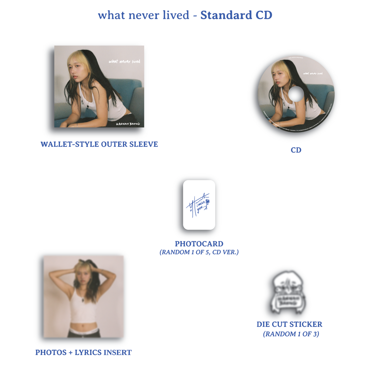 what never lived - Standard CD – Bahng Shop
